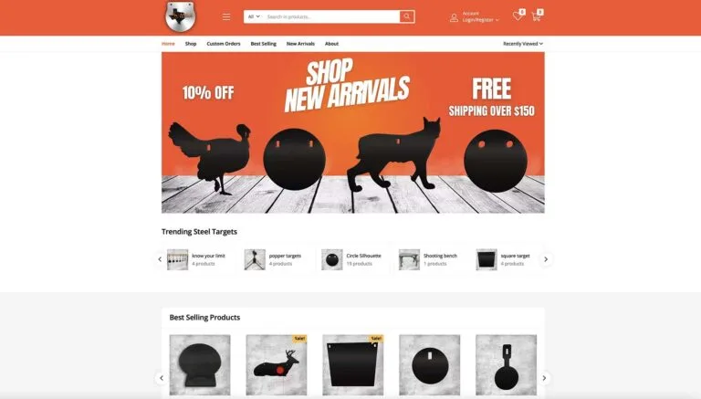 ecommerce website design